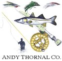 Our Sponsor Andy Thornal Co.